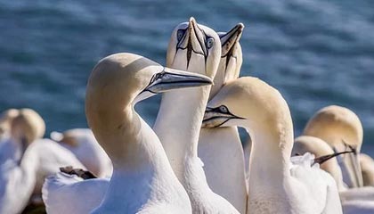 九游体育网站-NBA赛季关键比赛复盘，nba赛季回顾