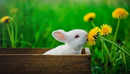 九游体育网站-NBA赛季关键比赛复盘，nba赛季回顾