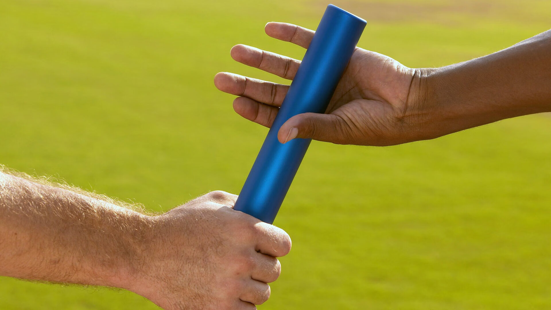 高校体育人才培养质量保障机制研究，学校体育人才培养方案